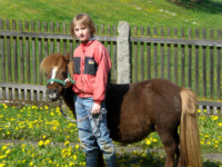 Minipony Karinja