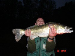 Zander aus dem Eixendorfer Stausee