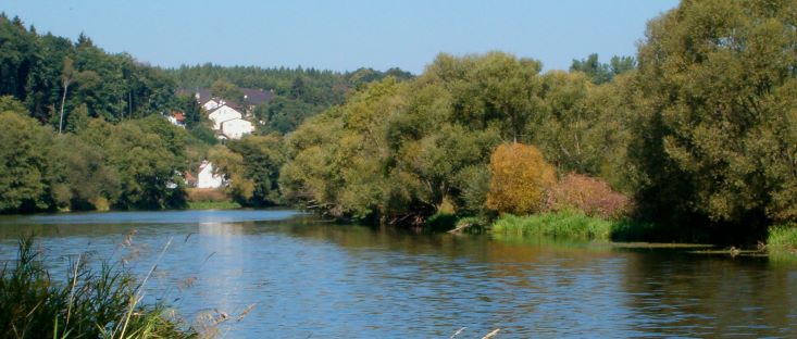 Fischwasser an der Naab - Angelwasser in der Oberpfalz